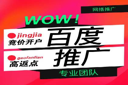 某大型平台开户返点效果评估报告